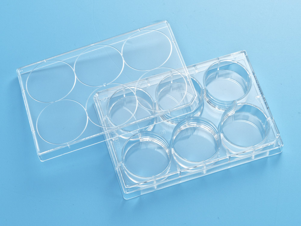 Планшет культуральный 6-луночный, с крышкой